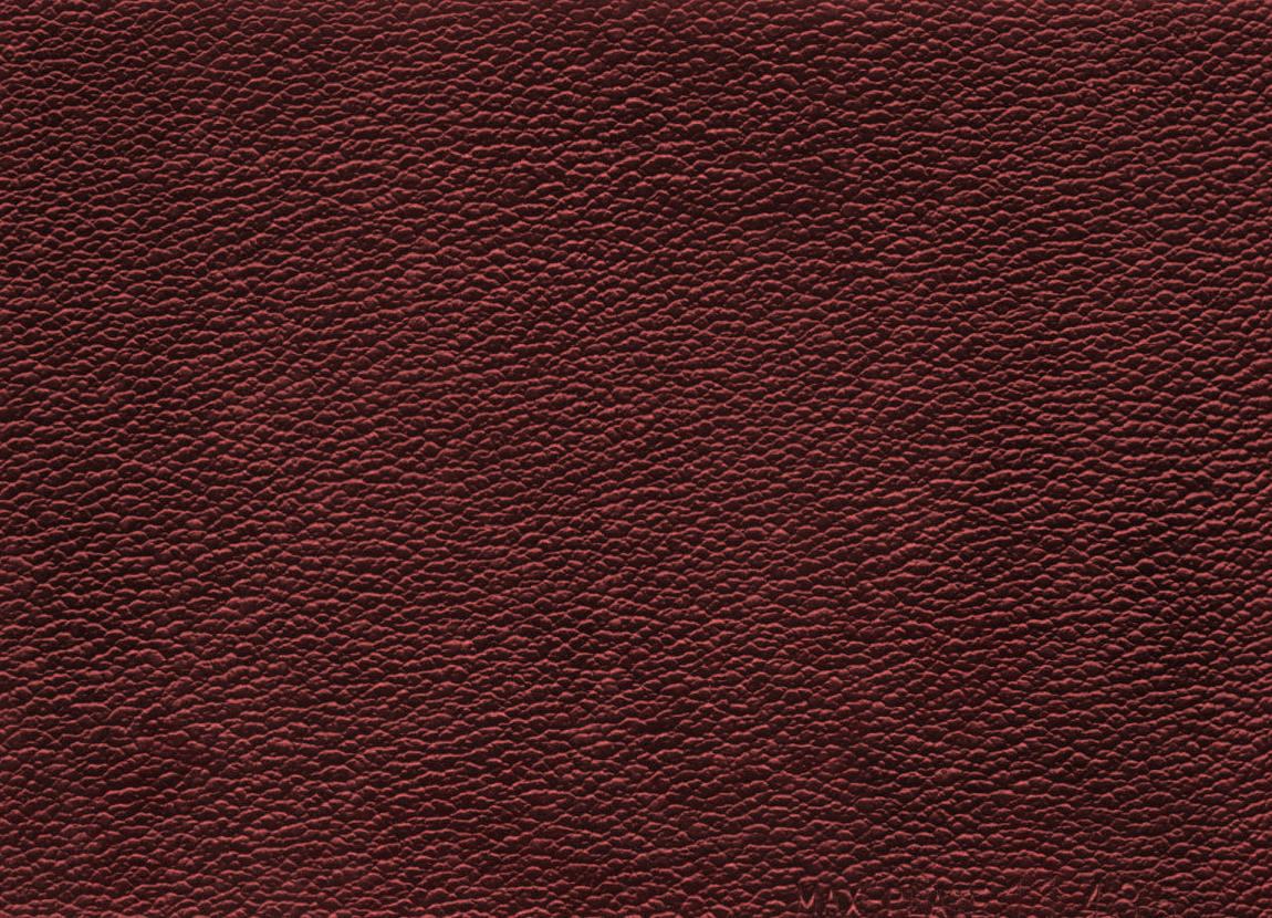 Assumenda accus antium